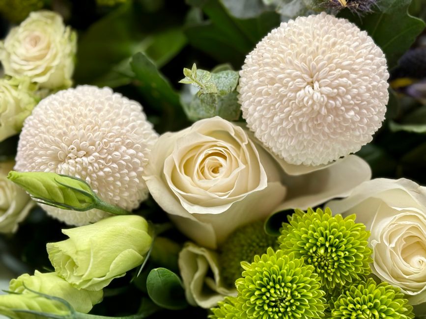 Close-up of a floral arrangement featuring two large, round, white chrysanthemum blooms with tightly packed petals, surrounded by creamy white roses with delicately unfurling petals, lime green chrysa